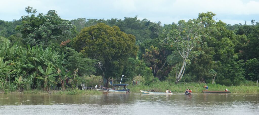 Fundo Amazônia Oriental deve entrar em operação em outubro