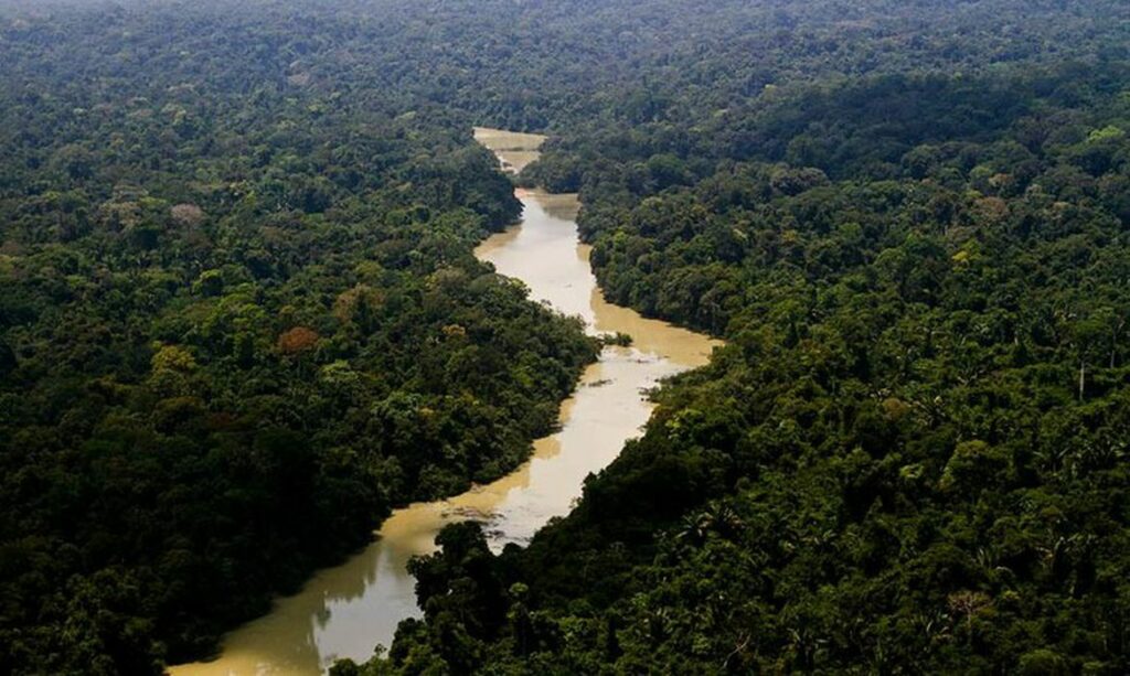 Selo Verde Pará