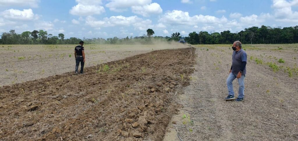 Vazio sanitário da soja está em vigor