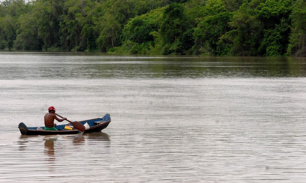COP26: Produzir, conservar e compensar quem faz dever de casa pode evitar ‘colapso’ da floresta