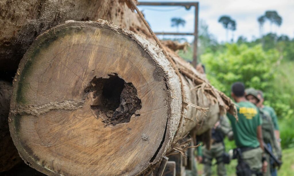 No ‘Brasil real’, alertas de desmatamento batem recorde em outubro na Amazônia