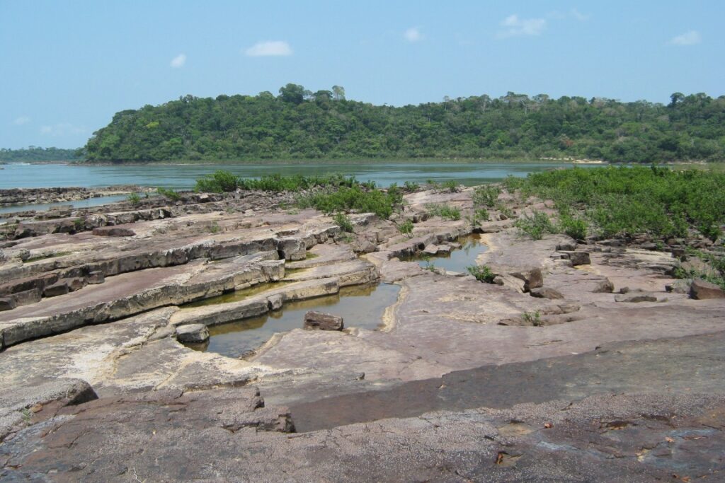 APA do Tapajós e Resex Chico Mendes são as áreas protegidas mais pressionadas por desmatamento