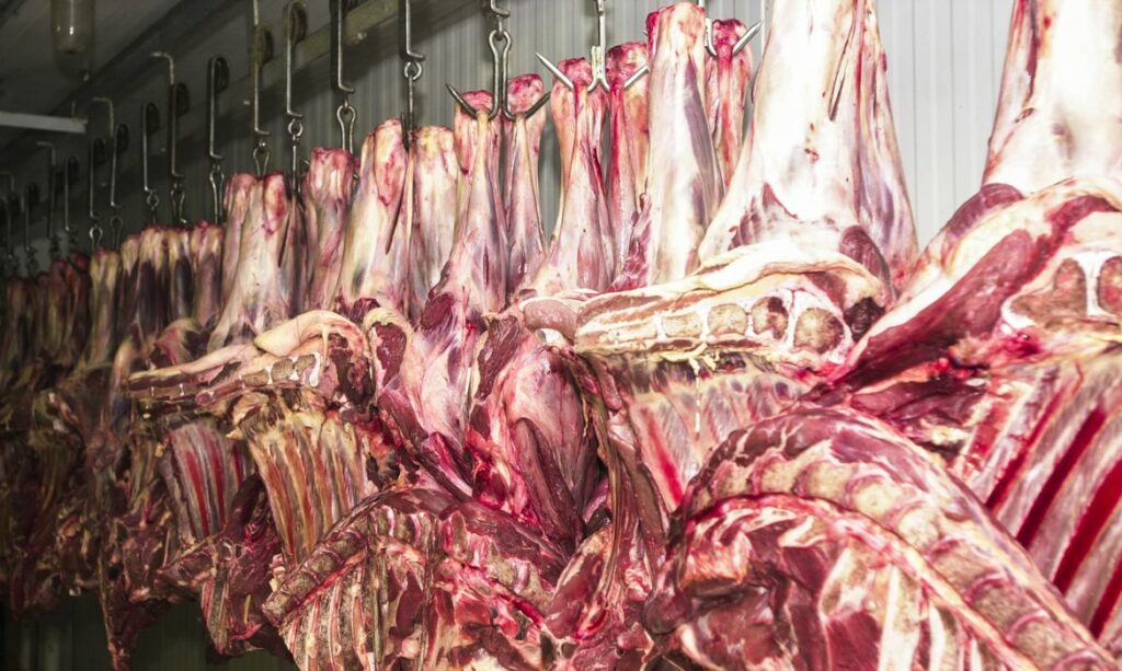 Exportações de carne bovina caíram 47% em novembro, diz Abrafrigo