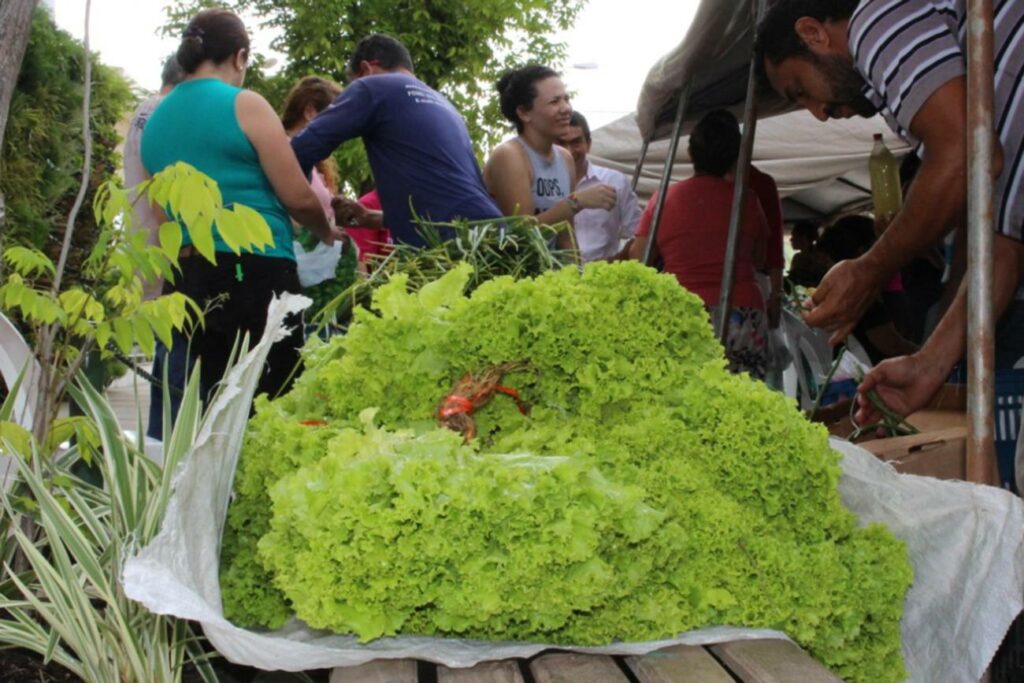 Secretaria reabre Chamada Pública para fornecimento de merenda escolar em Bragança