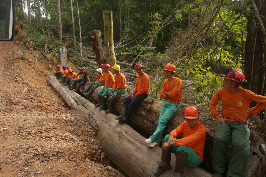 Guardiões da floresta: Ribeirinhos fazem do manejo responsável de madeira seu ganha-pão