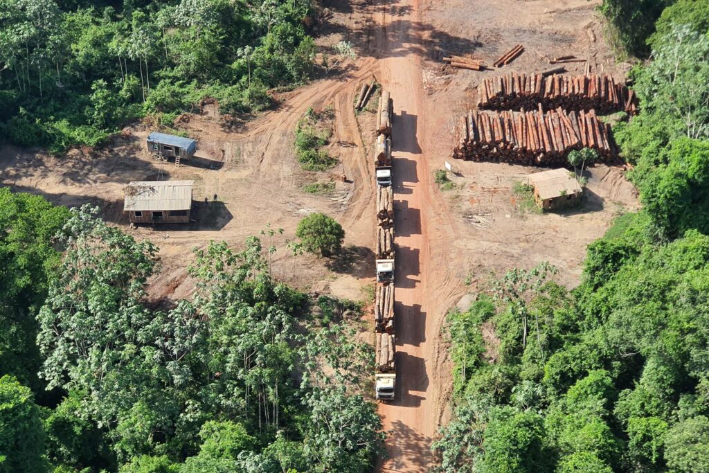 Ações contra lavagem de dinheiro são importantes armas para combater crimes ambientais, diz estudo