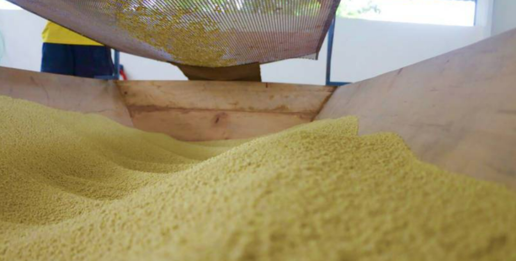 Preço da farinha de mandioca consumida no Pará apresenta estabilidade