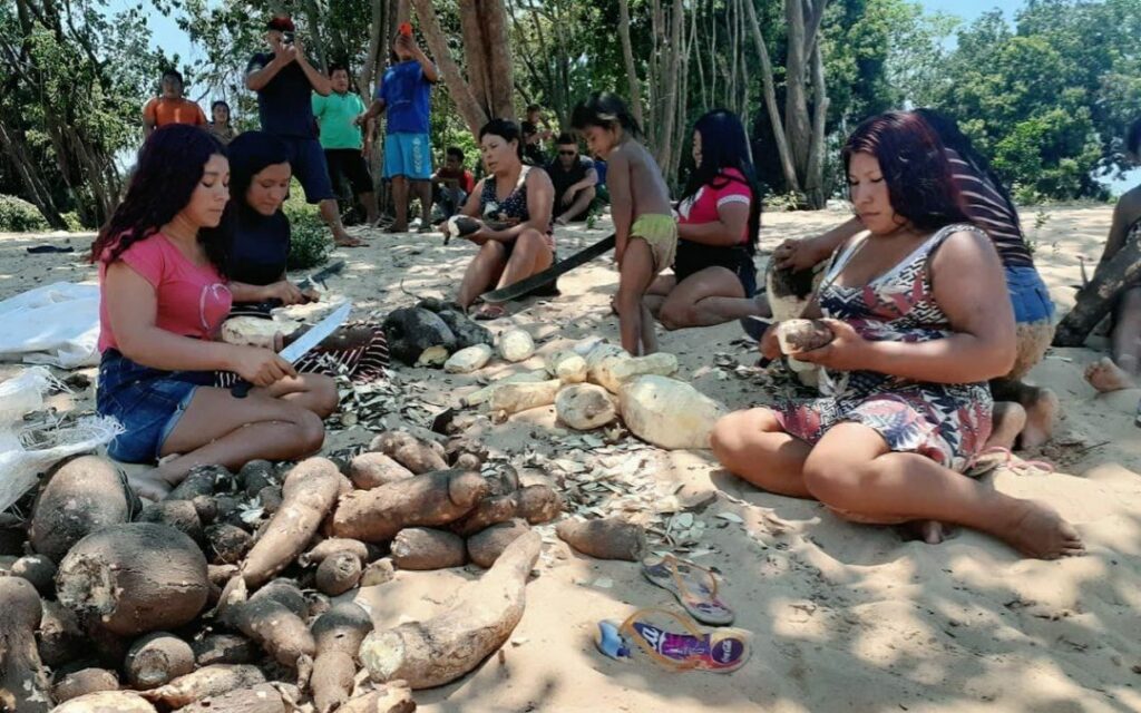 Terra Indígena Cachoeira Seca segue como a mais pressionada por desmatamento no Brasil