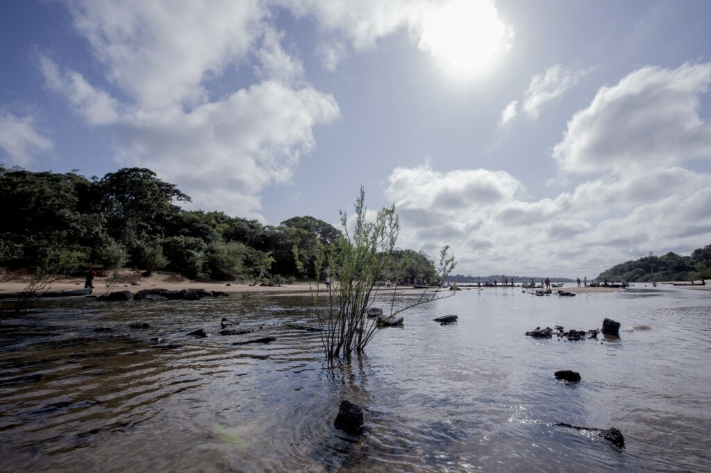 Veja como as microbacias da Amazônia estão sob ameaça