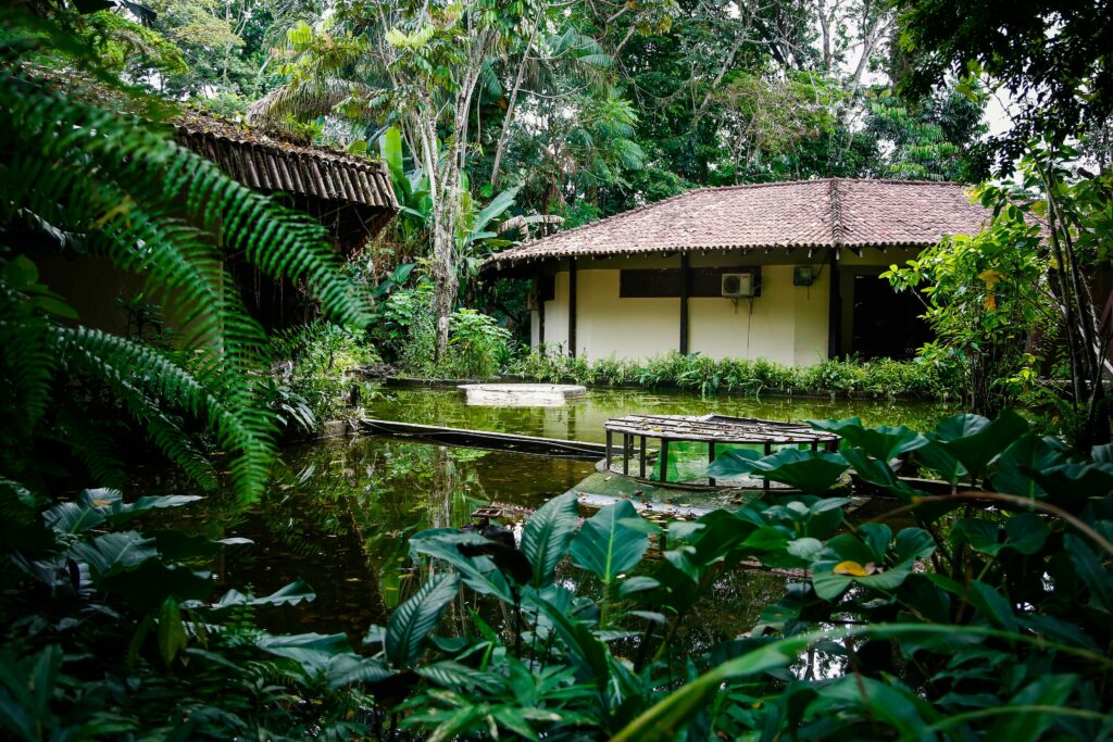 Conferência sobre agricultura familiar e agroecologia está aberta para participação popular