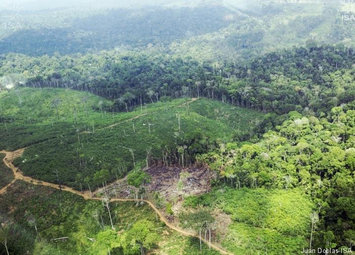 Amazônia tem alta de 68% no desmatamento e de 2.100% na degradação em janeiro