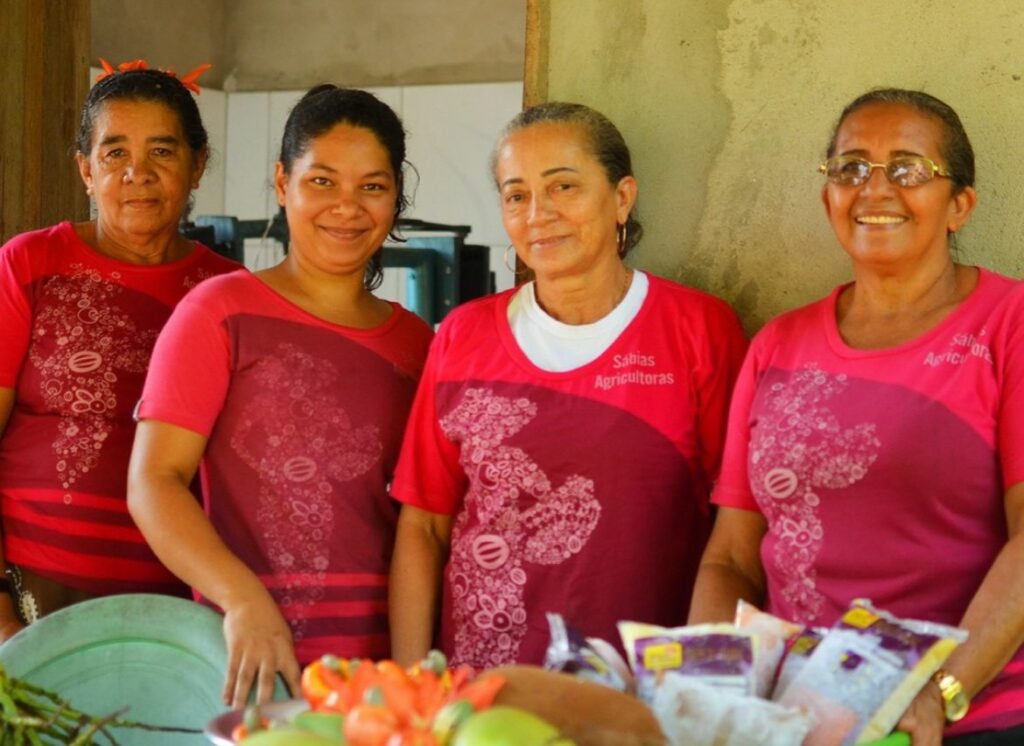 Em São Félix do Xingu, programa de alimentação escolar firma contrato de R$ 350 mil com agricultoras