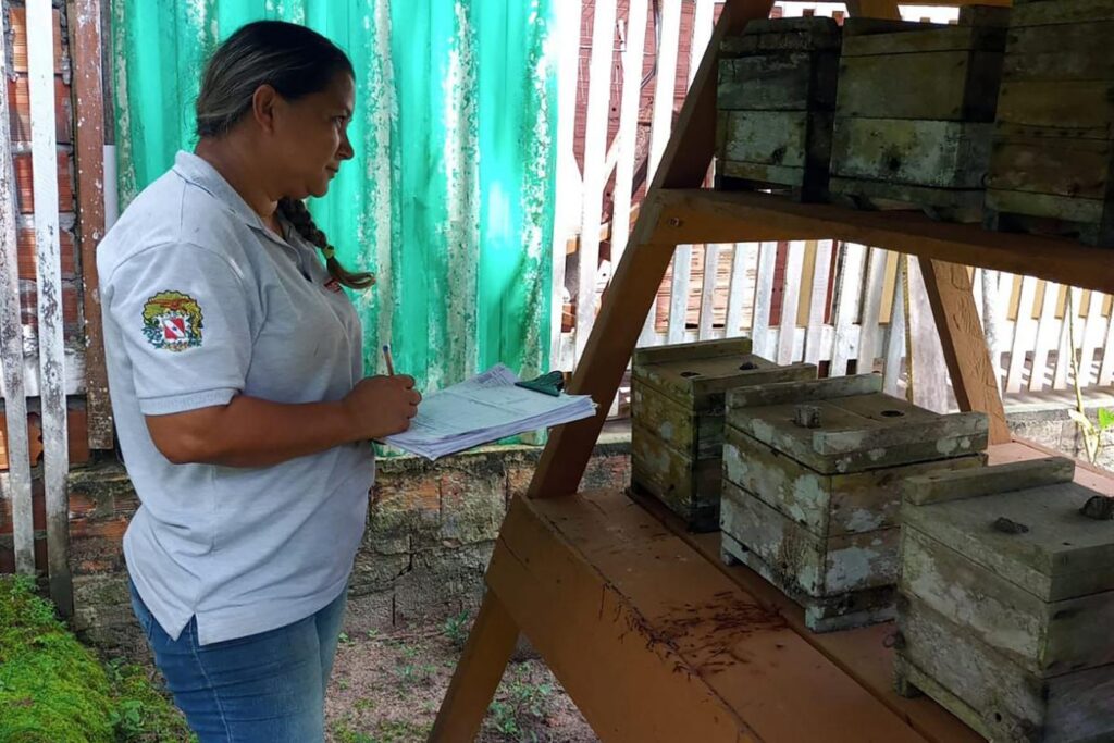 Pará tem a maior cadeia produtiva de abelhas da Região Norte, com 65% da produção total da região