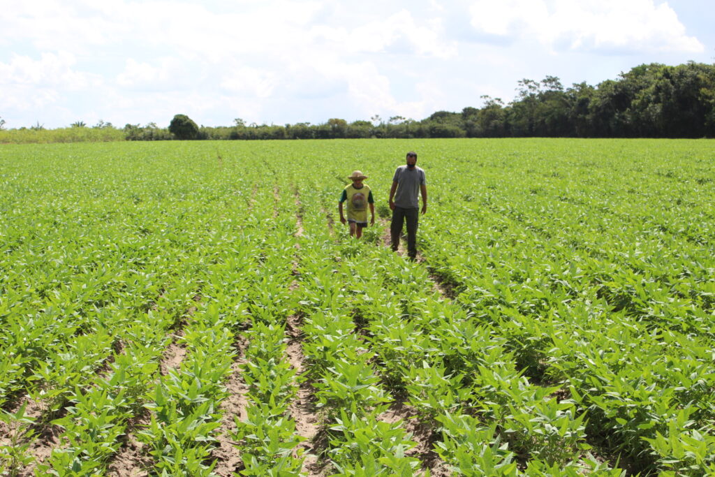 Emater vai instalar centro de treinamento e serviços no Baixo Amazonas