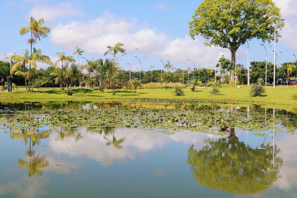 Pará pode ser o primeiro estado a dispor de uma Política Estadual de Unidades de Conservação