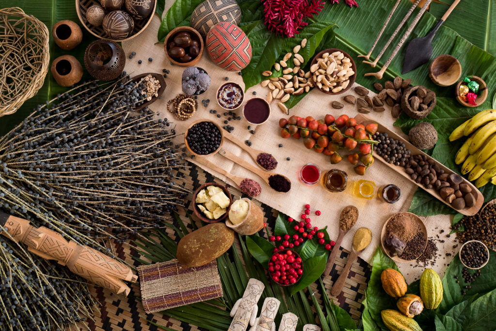 Bioeconomia tem potencial para integrar países amazônicos, aponta estudo