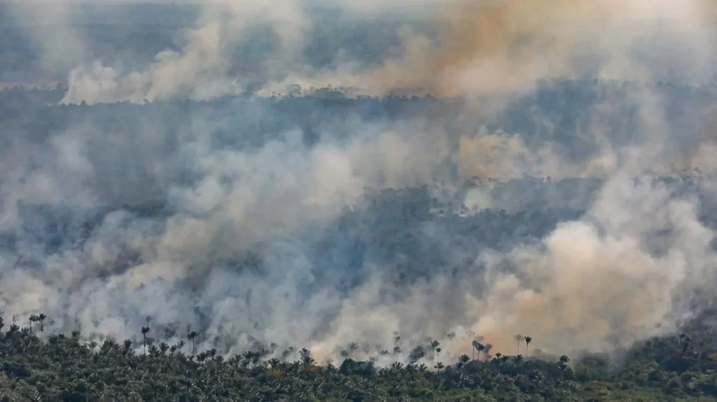 Seca severa faz fogo na Amazônia ultrapassar áreas desmatadas e atacar floresta úmida
