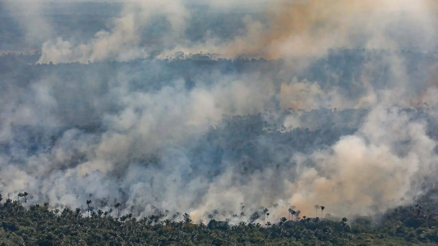 Crise climática: seca severa na Amazônia é agravada por desmatamento e fogo