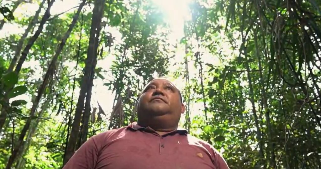 Conheça o ex-madeireiro que largou a devastação por geração de renda com a floresta em pé