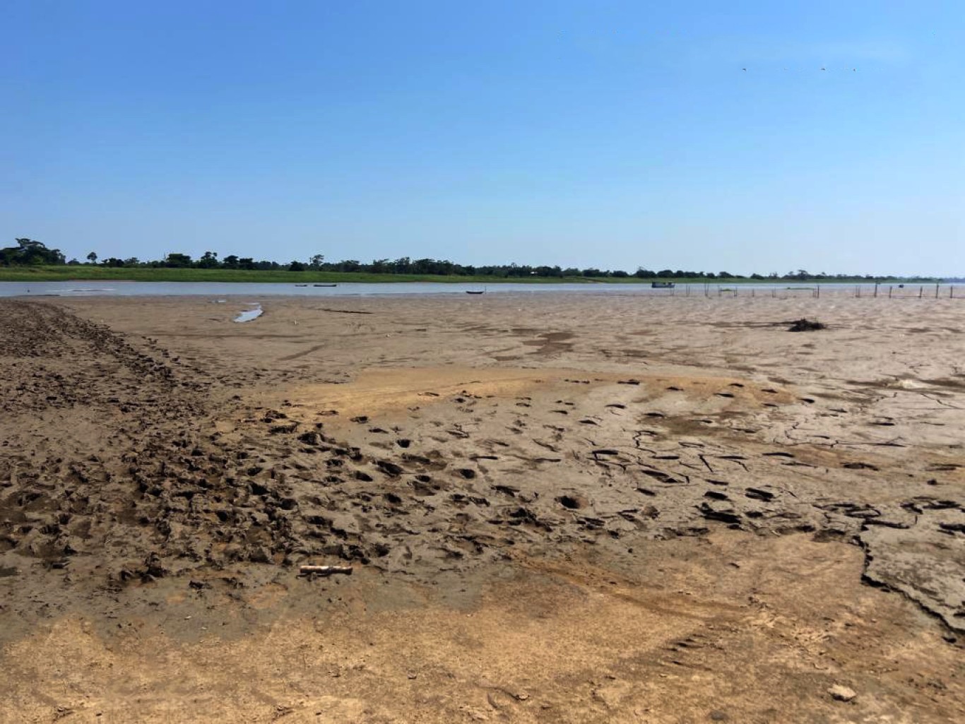 Fenómeno climático El Niño deverá continuar até Abril de 2024, Clima