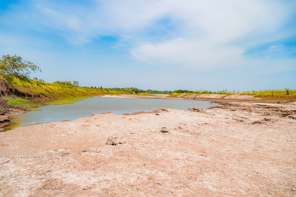 Crise climática: seca severa na Amazônia é agravada por desmatamento e fogo