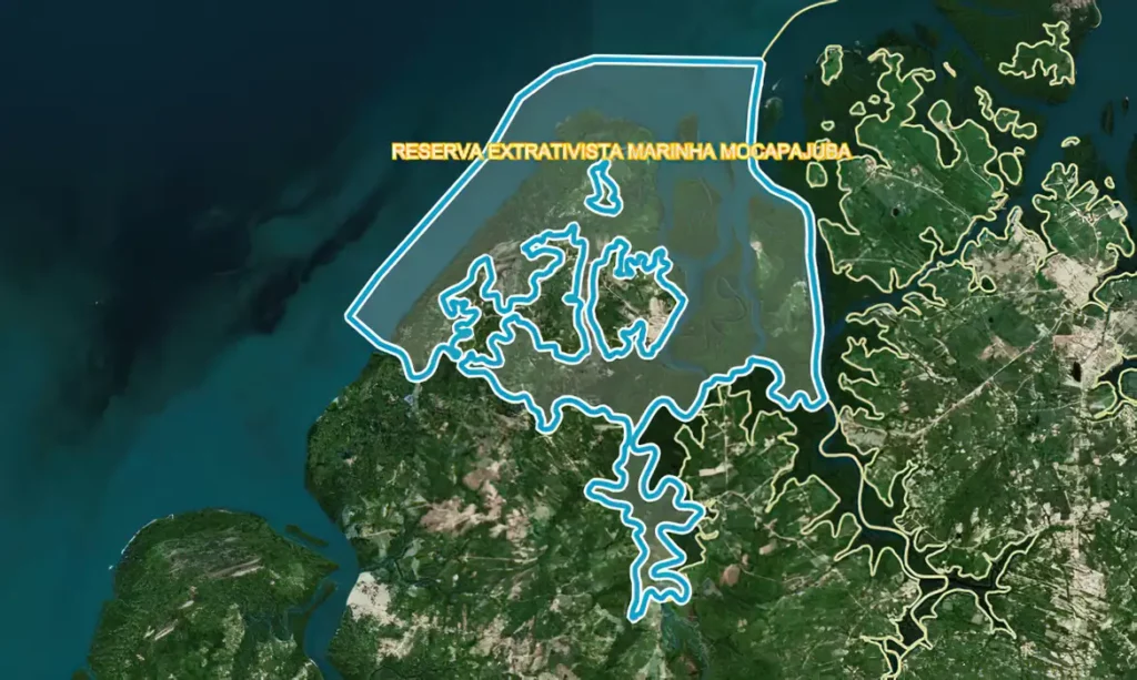ICMBio define perfil das famílias que poderão fazer uso sustentável de reserva extrativista no Pará