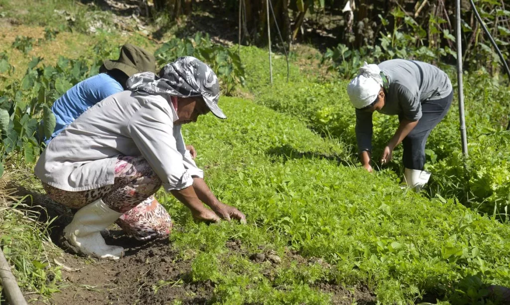 Mudança climática faz mulheres perderem mais finaceiramente do que homens no campo