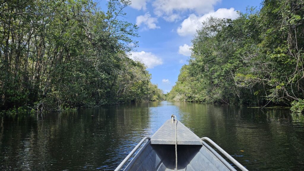 Comunidades denunciam ameaças e irregularidades em projetos de carbono no Marajó