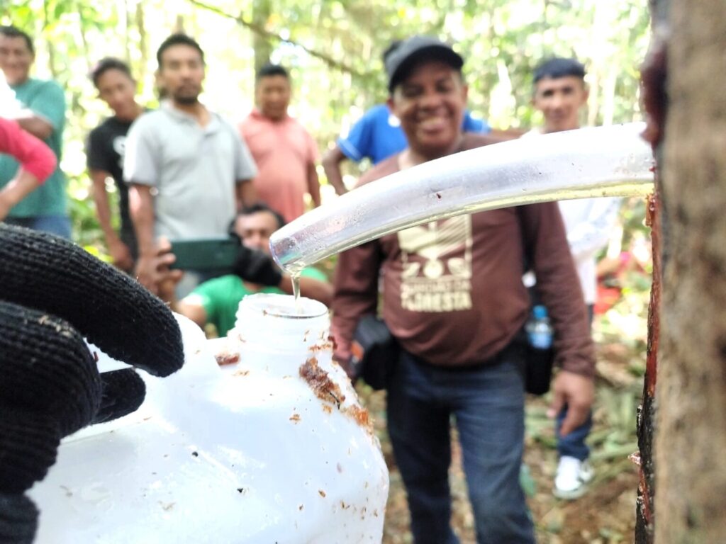 Projeto fortalece cadeias econômicas sustentáveis para combater o garimpo nas terras Munduruku