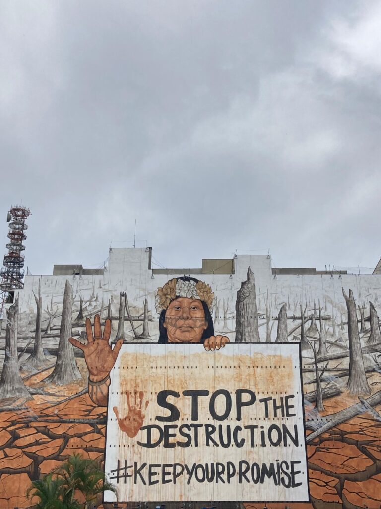 Mega-mural em São Paulo pede proteção para os biomas brasileiros