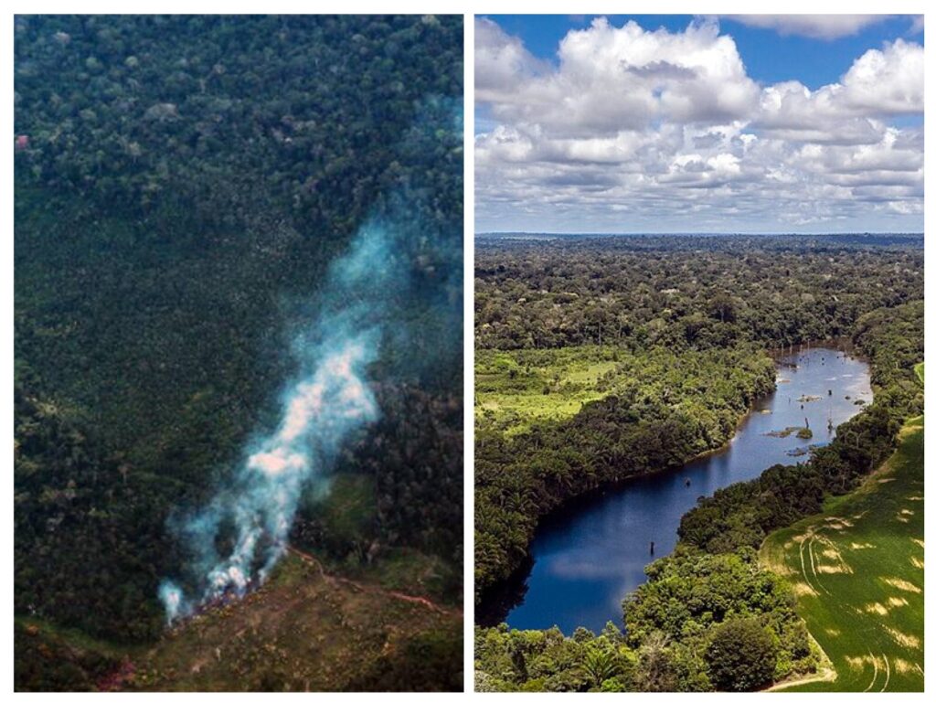Hora de escolher o Pará que queremos