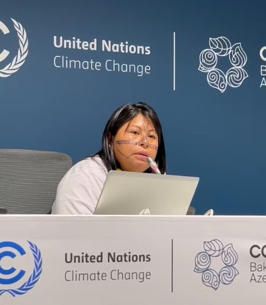 COP29: ‘Peço que não deixem a Ferrogrão destruir o Tapajós’, afirma liderança indígena