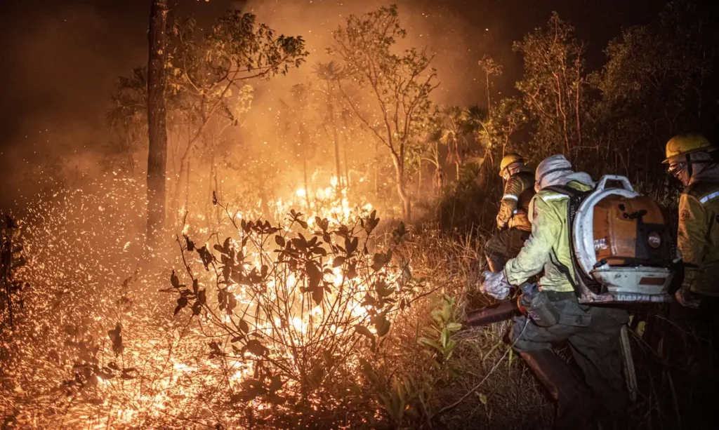 Tragédias climáticas em série aumentam preocupação dos brasileiros com problemas ambientais