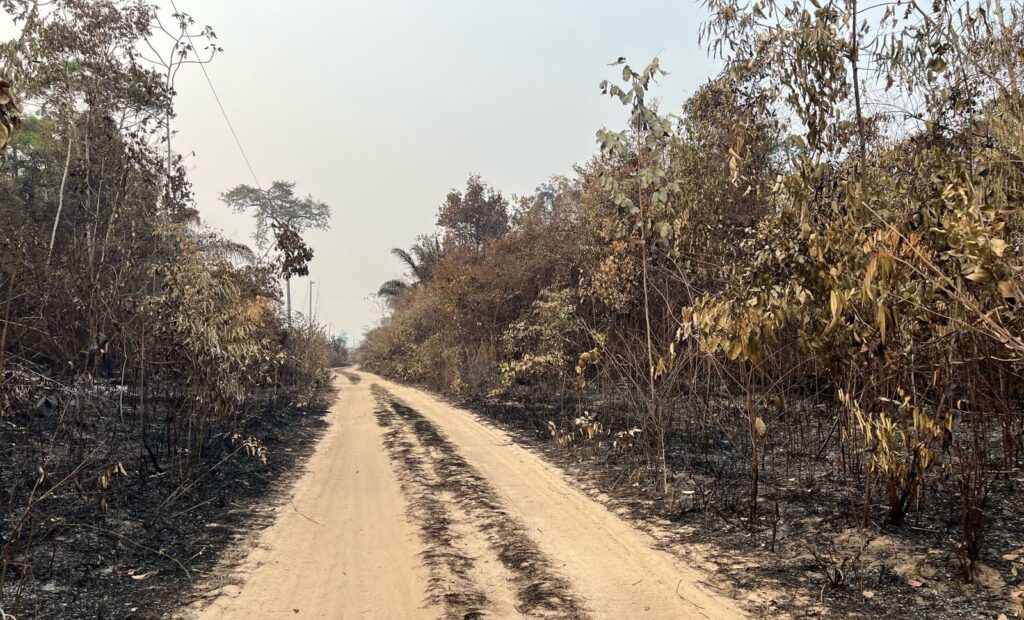 Quatro cidades paraenses obtêm o reconhecimento federal de situação de emergência devido à estiagem