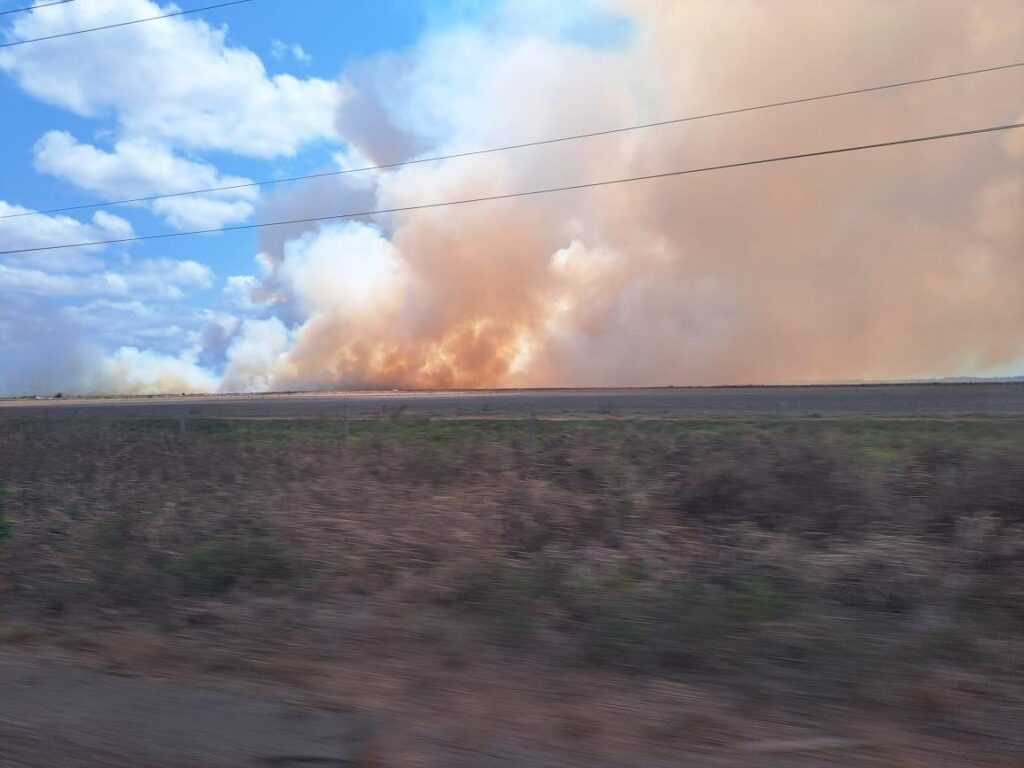 Ministério Público do Pará investiga queimada de grandes proporções em Cachoeira do Arari, no Marajó