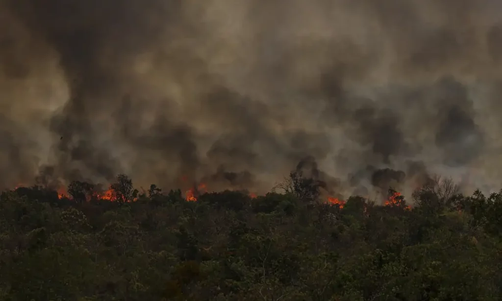 Incêndios na Amazônia Legal levam a recorde de emissões de carbono em 14 anos
