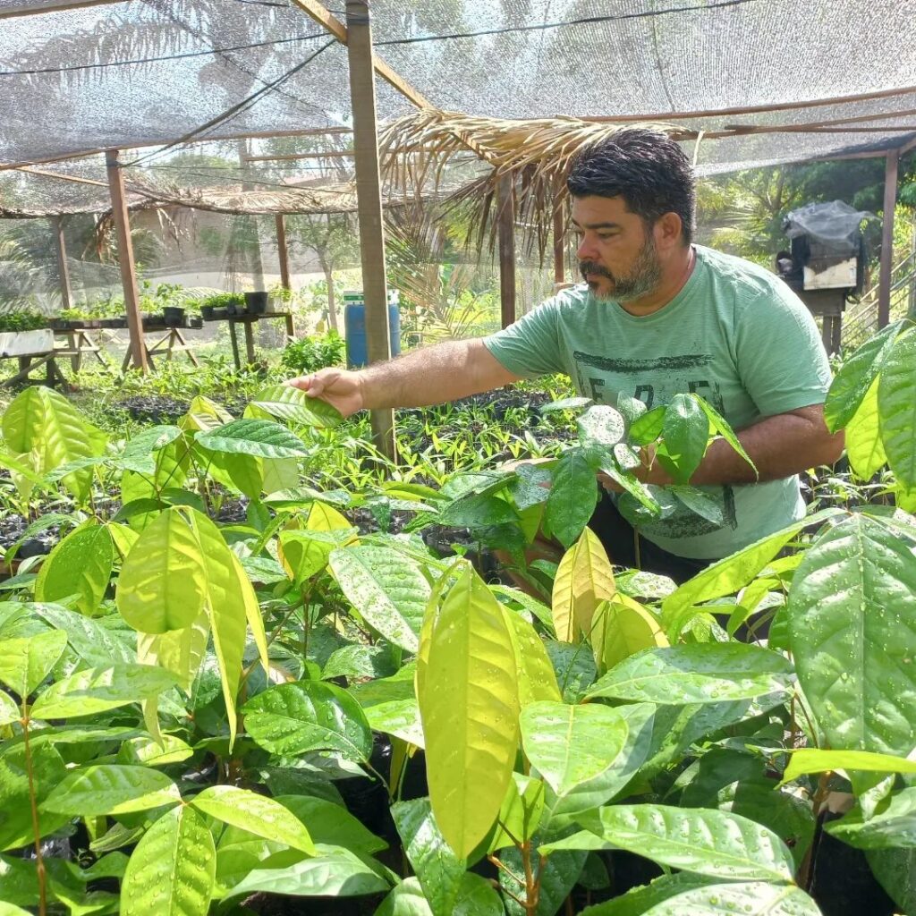 Negócios sustentáveis almejam crescimento impulsionado pela COP30