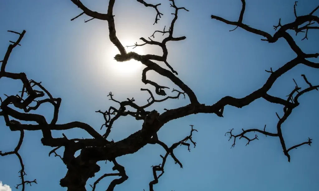 Fevereiro quebra recorde de calor, mas temperaturas seguem altas