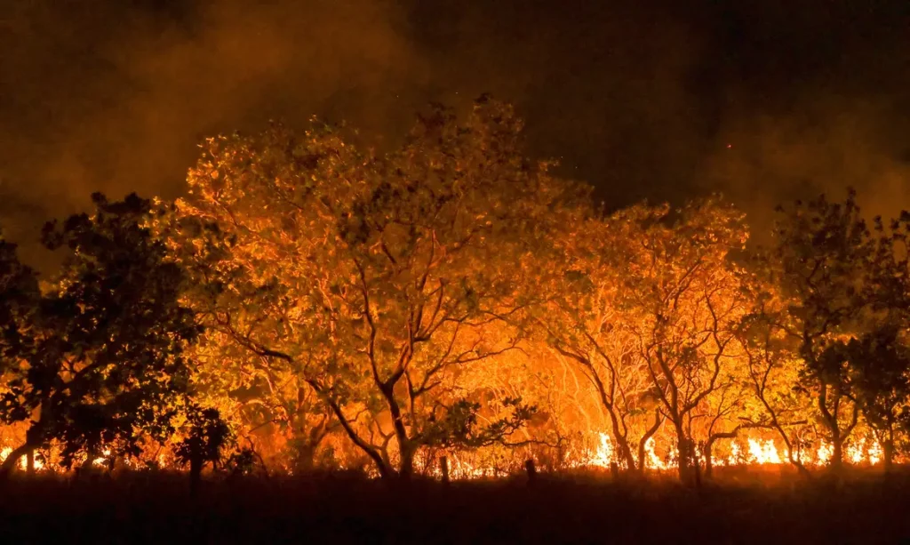 Amazônia queimou mais da metade do total registrado no Brasil em 2024