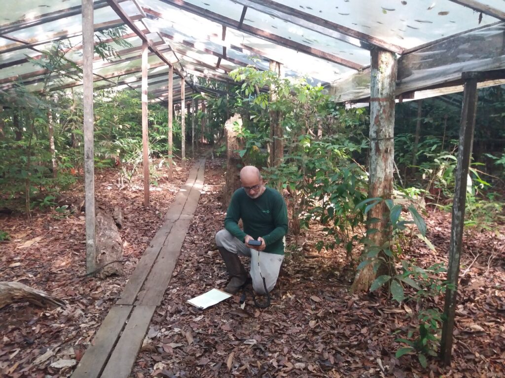Guardiões da floresta: cientista estuda o perigo das mudanças do clima para o futuro da Amazônia