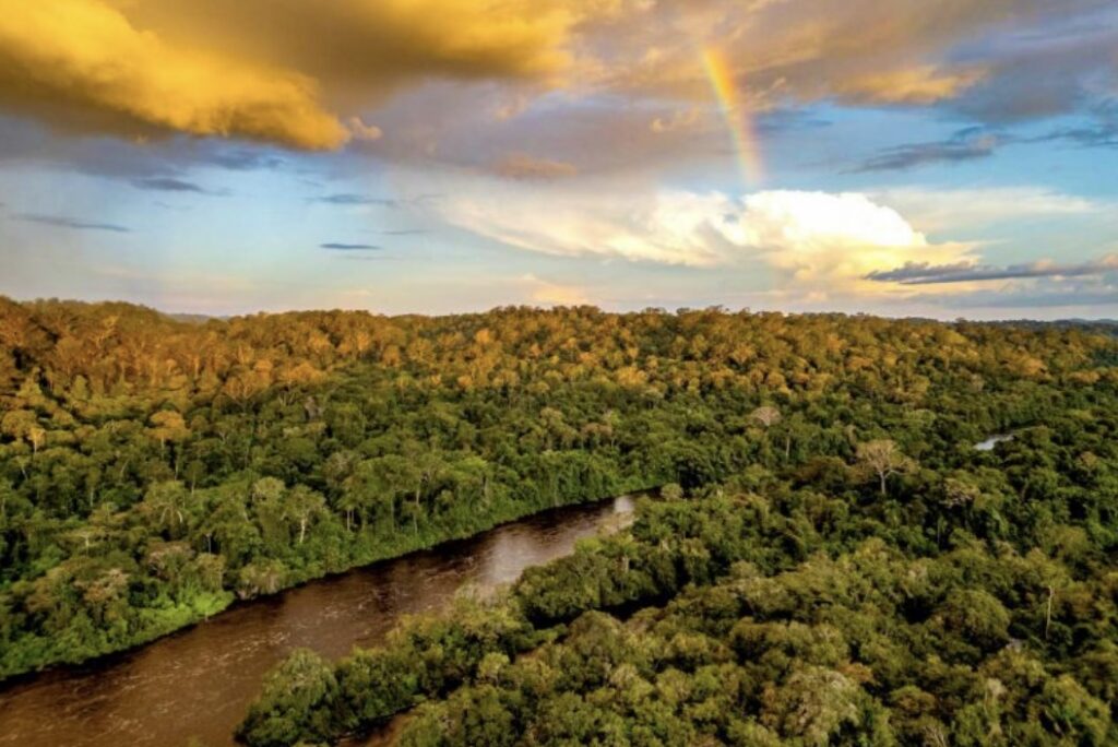 Apoio às comunidades locais vai gerar impactos para o futuro da conservação da Amazônia. Crédito: Agência Pará