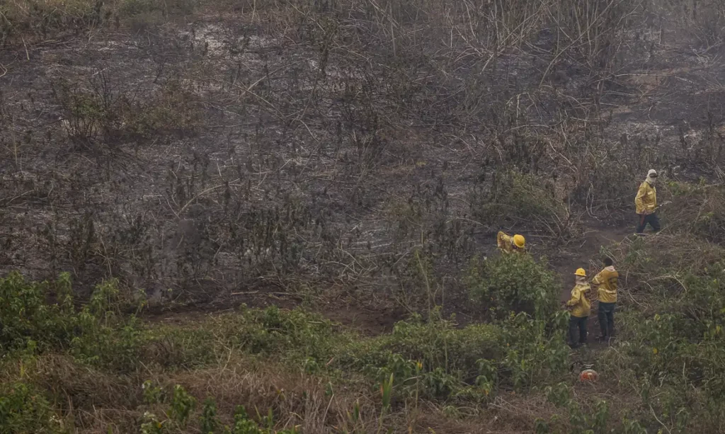 Defesa Civil realiza missão nos estados da Amazônia Legal para evitar incêndios