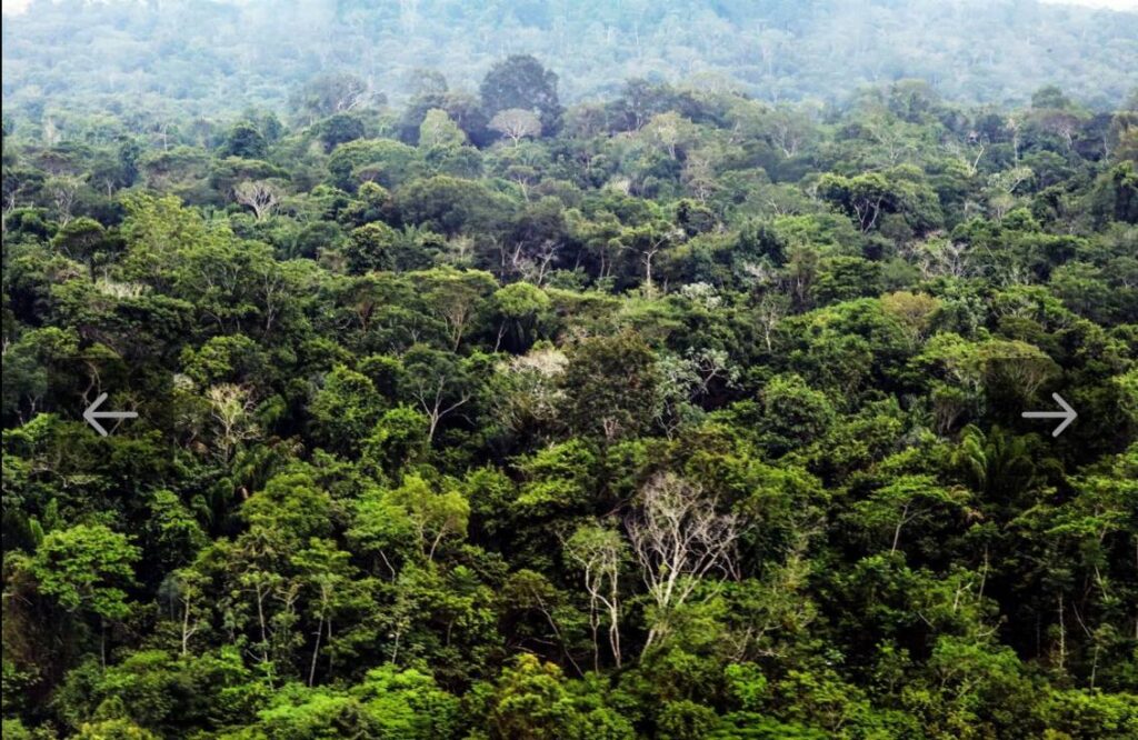 Governo sanciona com 63 vetos nova Lei de Licenciamento Ambiental