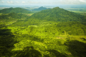 Amazônia teve 67% das áreas protegidas sem desmatamento nos últimos nove meses