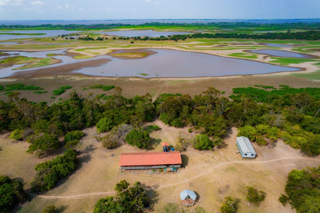 Amazônia enfrenta um rápido crescimento de temperaturas extremas, aponta relatório