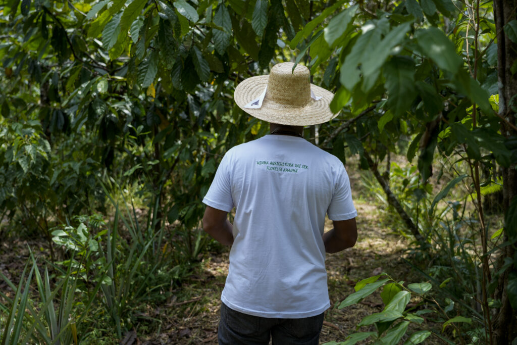 Na COP30, Ecovila Iandê, no Pará, mostra na prática como enfrentar a crise climática