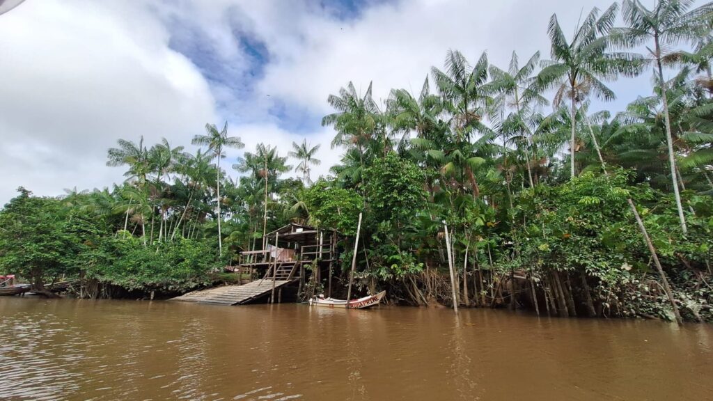 Iniciativa de turismo regenerativo convida visitantes a mergulhar na bioeconomia durante a COP30
