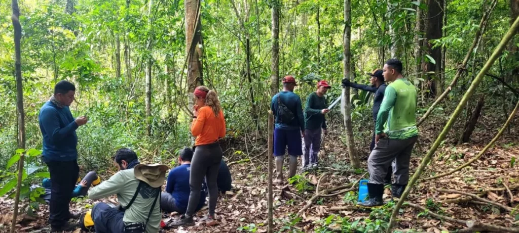 Implantação do parque estadual das árvores gigantes entra em nova fase