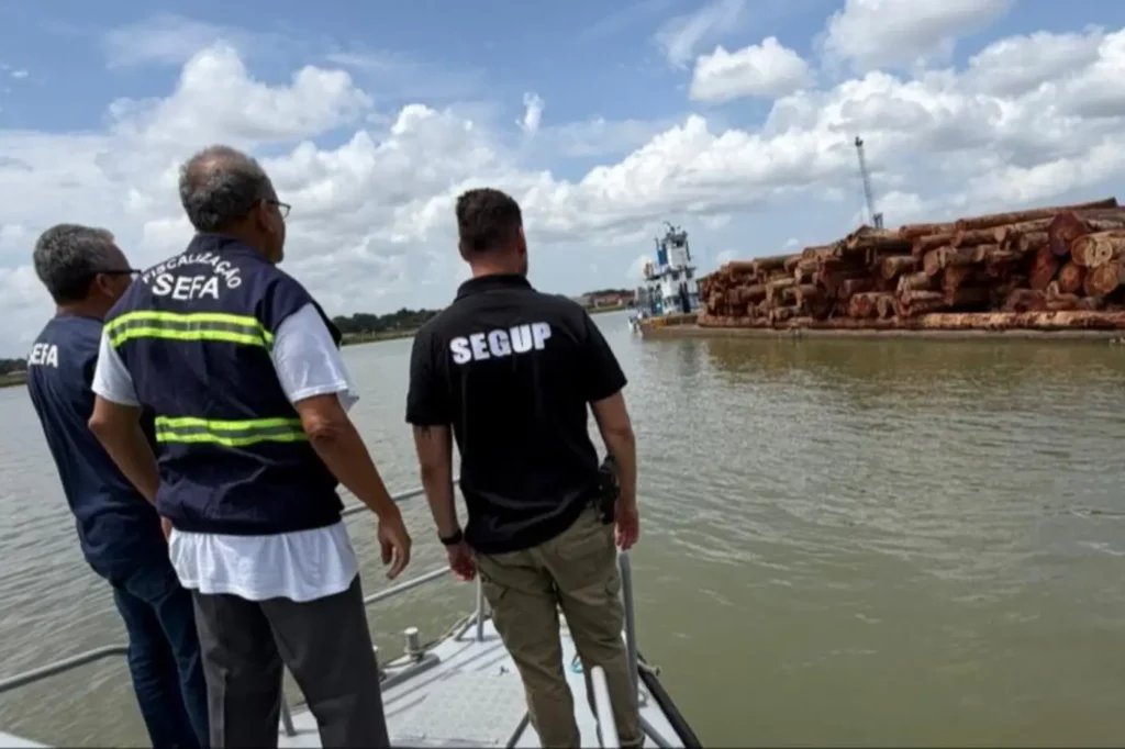 Operação Bioma apreende 586 metros cúbicos de madeira ilegal