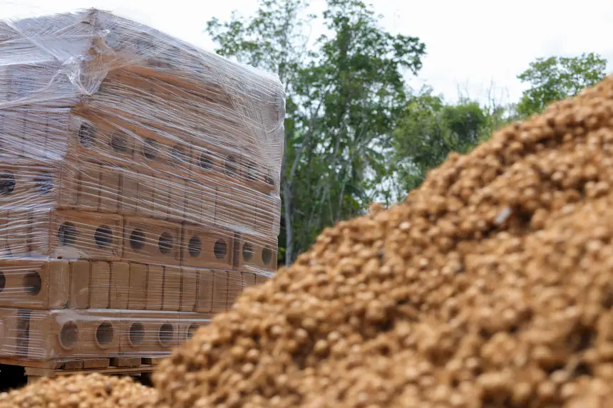 Casas ecológicas em ilha de Belém serão erguidas com tijolos de caroços de açaí